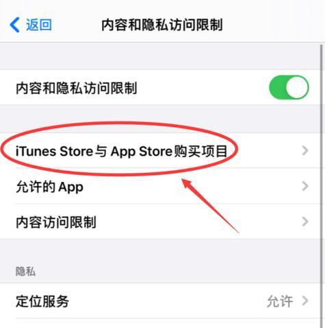 解决iPhone无法打开Appstore的问题（排查故障和应对措施，让你的iPhone正常访问Appstore）