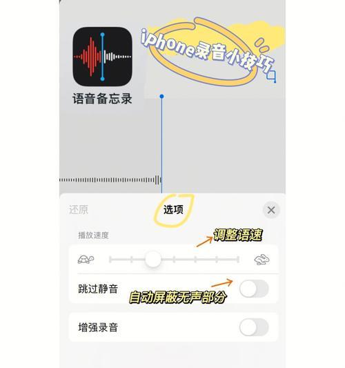 iPhone录音机软件推荐（探索最佳选择，让你的iPhone成为专业录音设备）