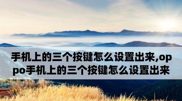 如何调出oppo手机的按键声音（一步步教你设置oppo手机按键声音的方法）