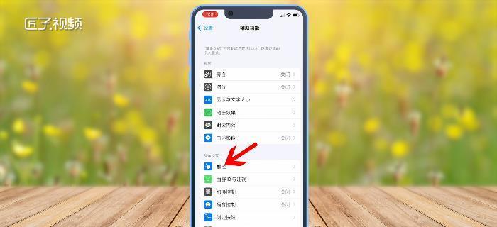 揭秘iPhone辅助触控的冷门小知识（探索iPhone辅助触控功能的奇妙世界）