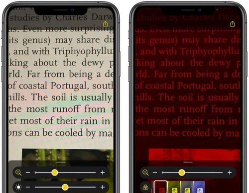 苹果放大镜功能的神奇用途（发现微小世界的惊喜——苹果放大镜功能的一键操作）
