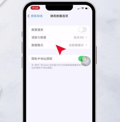 如何关闭iPhone手机后台运行（简单有效的方法帮助你提升iPhone性能）