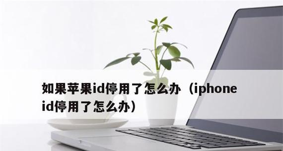 AppleID激活锁解锁教程（逐步解析AppleID激活锁的破解方法，让你重拾设备控制权）