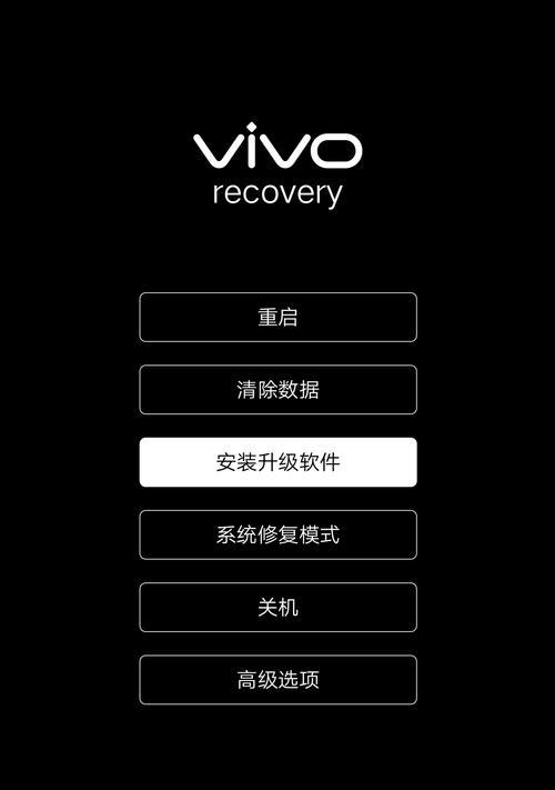 忘记vivo帐号密码怎么办？解锁方法大揭秘！（如何重置vivo帐号密码，解决忘记密码问题）