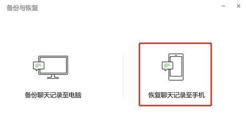 手机数据迁移后的恢复能力探究（探讨手机数据迁移后的恢复可能性及关键因素）