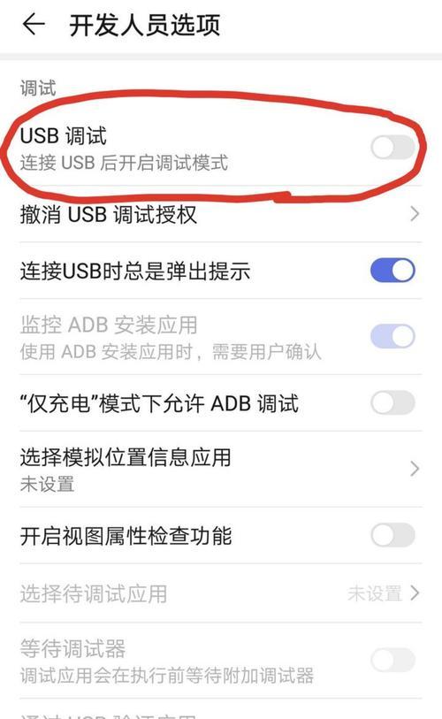开发人员选项不见了怎么办？（解决开发人员选项消失的问题并恢复正常功能）