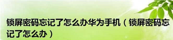 华为手机忘记锁屏密码怎么办？（解决华为手机忘记锁屏密码的有效方法）