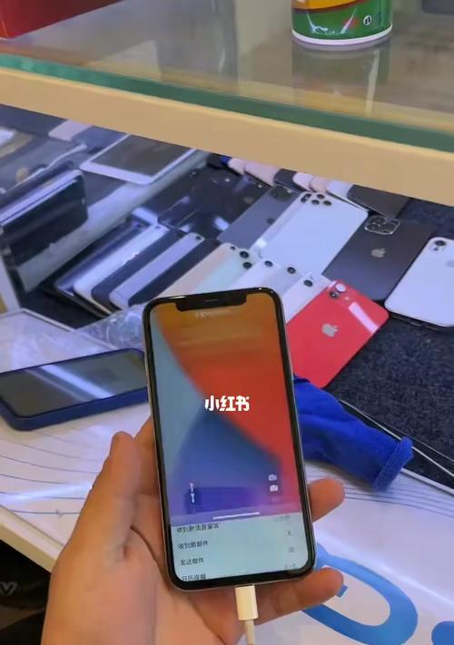 iPhoneX面容ID无法使用解决方法（如何解决iPhoneX面容ID无法使用的问题）