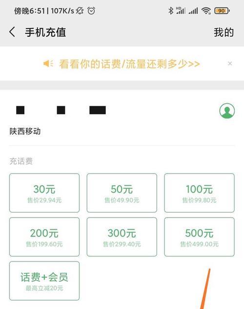 如何快速查看手机话费流量余额（教你一招，轻松掌握手机余额查询技巧）