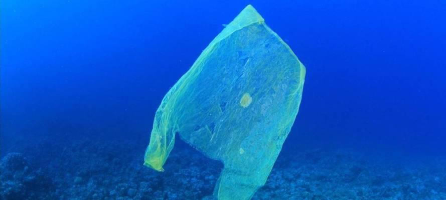 海底一万米有什么生物（一个人一天能做多少流水）