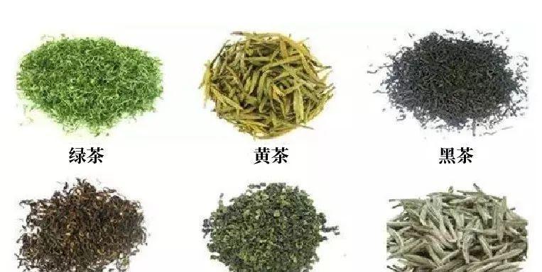 红茶和绿茶的区别（探寻红茶与绿茶的异同）