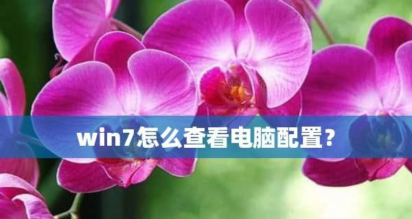 如何查看电脑配置中Win7显卡信息（Win7显卡配置查询方法及注意事项）