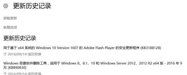 Windows官网补丁下载平台——保障系统安全的首选（便捷）