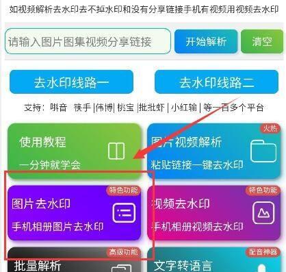 免费去除视频水印的小技巧（简单有效的方法让你轻松去除视频中的水印）