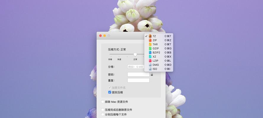 选择合适的Mac解压缩软件，让文件解压无忧（解压缩工具推荐及使用技巧）