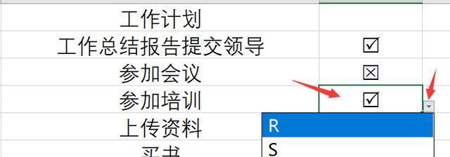 Excel打勾快捷键是什么（学会快速使用Excel的打勾功能）