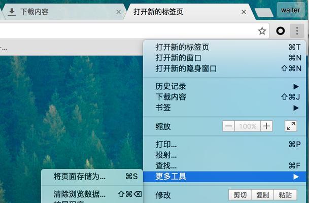 解决Safari无法浏览网站的方法（如何解决Safari浏览器无法访问某些网站的问题）