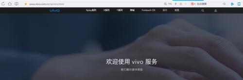 探索vivo手机密码破解方法的安全性（了解vivo手机密码破解技术及保护手机隐私的关键措施）