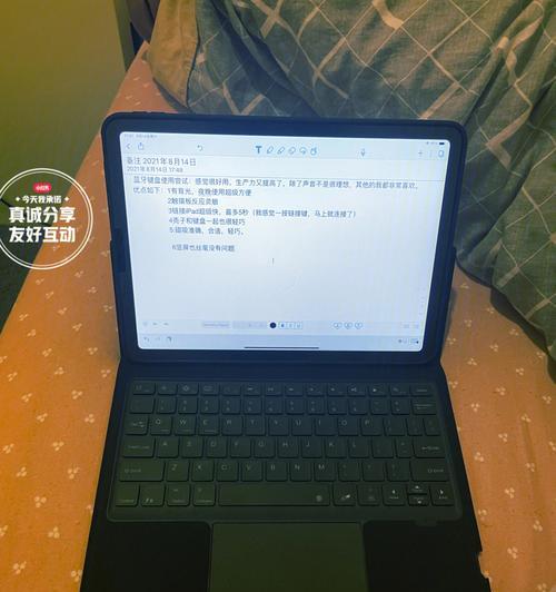 iPad声音无法恢复的解决方法（如何修复iPad无声问题以及恢复声音功能）