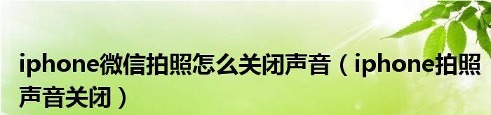 如何关闭苹果手机微信拍照声音（快速了解关闭方法）