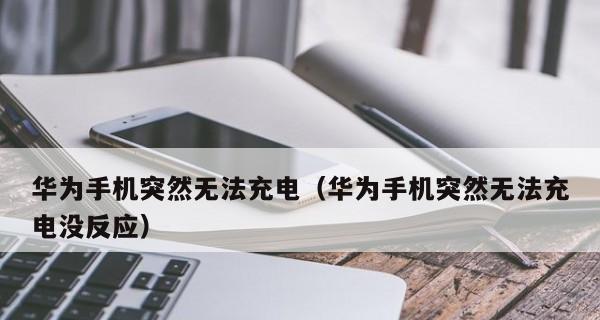 数据线正常却无法充电的解决方法（探索数据线连接不良引发的充电故障及修复方法）