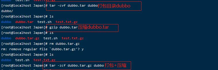 Linux解压zip到指定目录的方法（使用命令行在Linux系统下解压zip文件到指定目录）