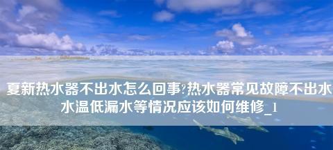 如何预防夏普热水器漏气问题（安全使用夏普热水器的关键措施）