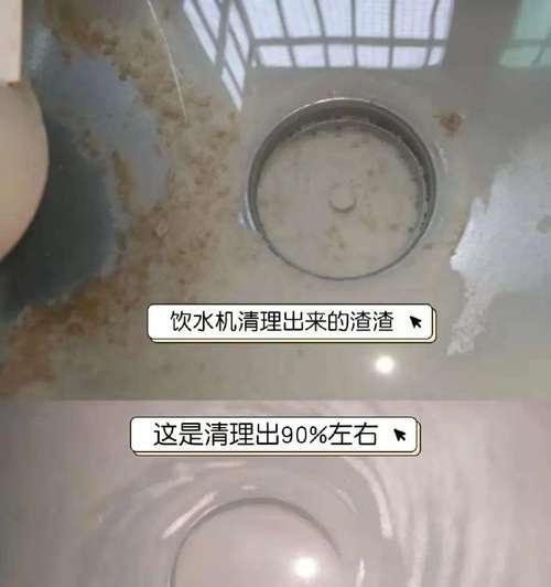 如何有效处理饮水机细菌（保障家庭饮水健康的关键）