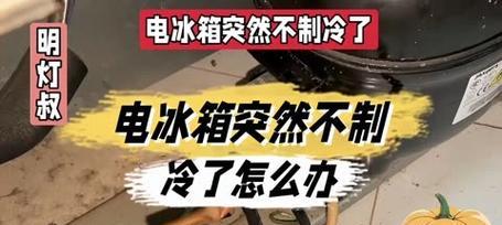 容声冰箱不制冷怎么解决（分析冰箱不制冷故障）