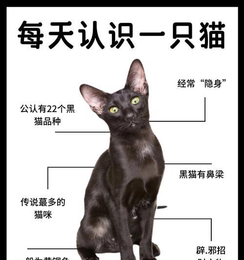 黑猫电脑配置在知乎上如何评价？