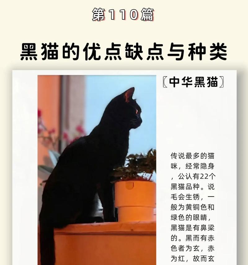 黑猫电脑配置在知乎上如何评价？