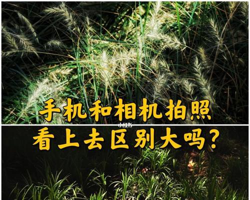 低成本拍摄台使用手机拍照方法？如何操作？